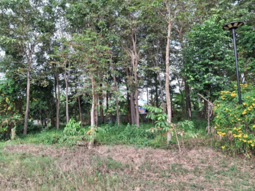 ๐ฆLand Available for Urgent Sale at a Special Price (Negotiable).