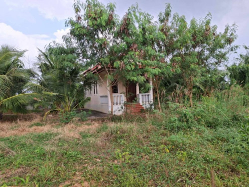 ๐ฆLand Available for Urgent Sale at a Special Price (Negotiable).