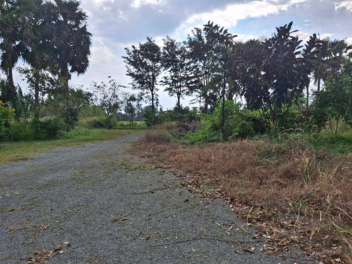 ๐ฆLand Available for Urgent Sale at a Special Price (Negotiable).