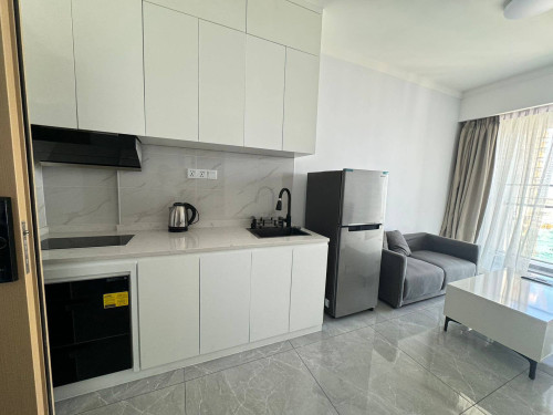 Agile Sky Residence 1 bedroom for rent