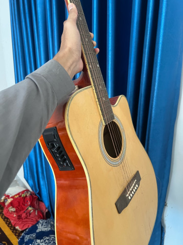 Guitar