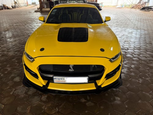 MUSTANG 2015