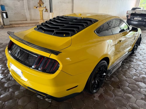 MUSTANG 2015