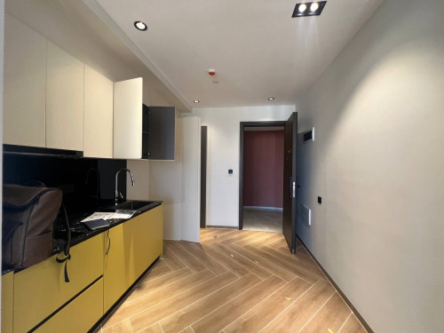 Renovation & Decor Works