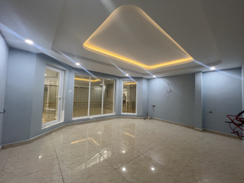 Renovation & Decor Works (House)