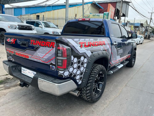 Tundra014