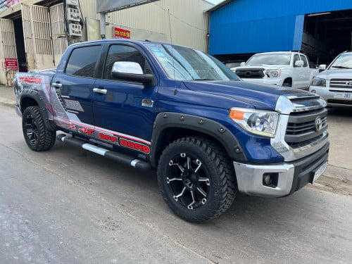 Tundra014