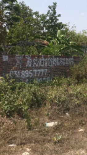 ដីលក់ ១០០០ម២