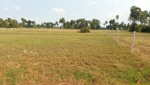ដីខ្នាតឃ្លាំងលក់បន្ទាន់ជាប់ផ្លូវគ្រួសក្រហម គម្រោងចាក់បេតុង