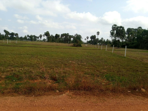 ដីខ្នាតឃ្លាំងលក់បន្ទាន់ជាប់ផ្លូវគ្រួសក្រហម គម្រោងចាក់បេតុង