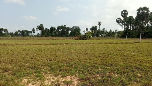 ដីខ្នាតឃ្លាំងលក់បន្ទាន់ជាប់ផ្លូវគ្រួសក្រហម គម្រោងចាក់បេតុង