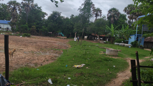 ដីលក់