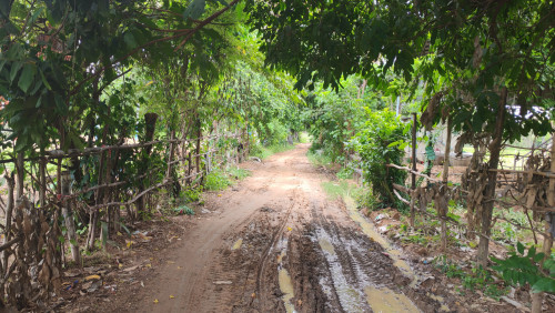 ដីលក់