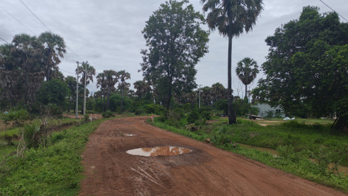 ដីលក់
