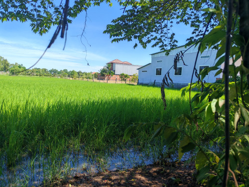 ដីលក់