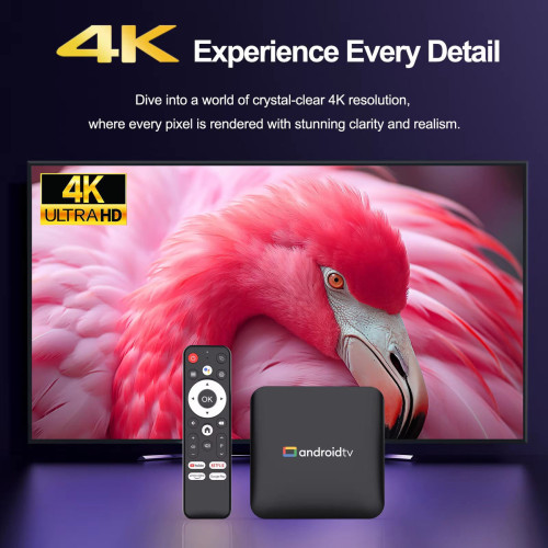 Android TV BOX A53 Support 4K Video 8GB RAM 128GB ROM with Remote Control