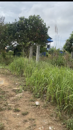 Land for sell