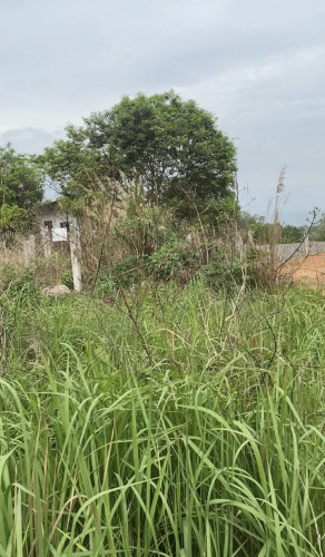 Land for sell