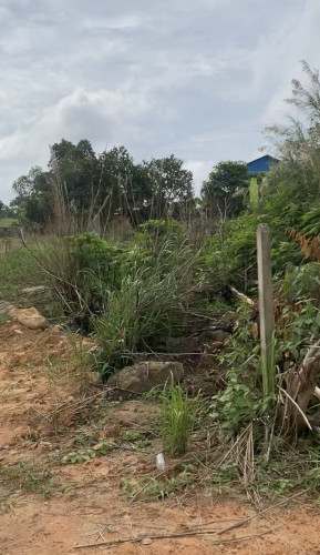 Land for sell