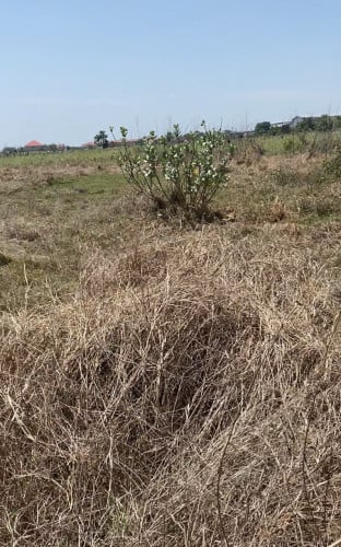 Land for sell