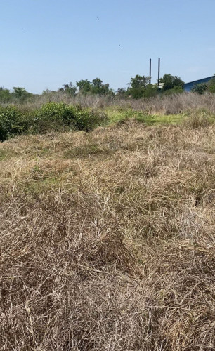 Land for sell