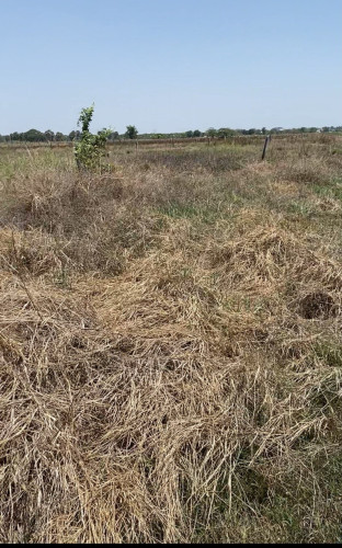 Land for sell