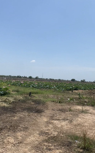 Land for sell