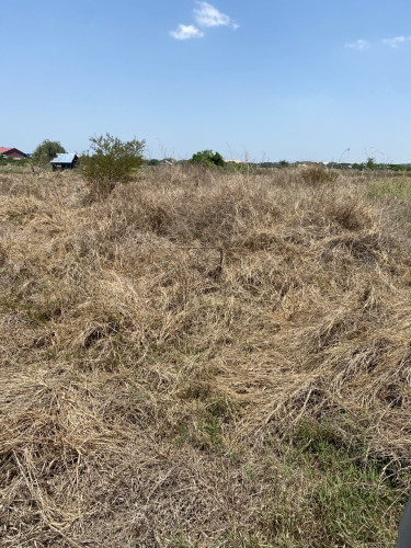 Land for sell