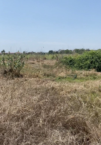 Land for sell