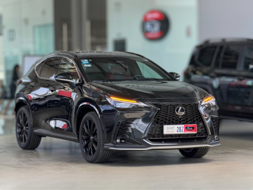 LEXUS NX350 2024