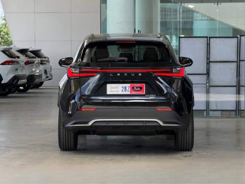 LEXUS NX350 2024