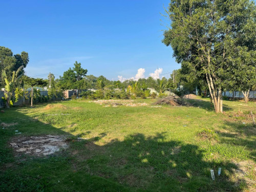 Riverfront Land for Sale in Kampot – Amazing Opportunity
