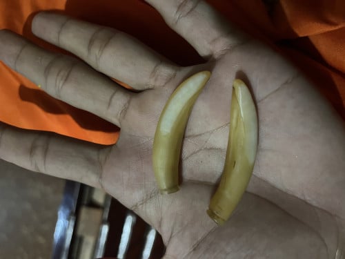 វត្ថុសក្កិសិទ្ធខ្មែរ