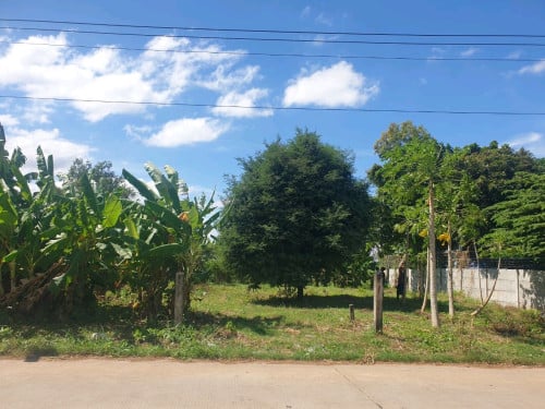 ដីលក់កោះដាច់9.5x25mប្លង់រឹង