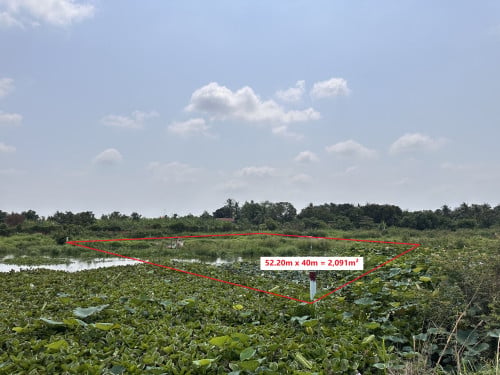 🏦Land Available for Urgent Sale at a Special Price (Negotiable).