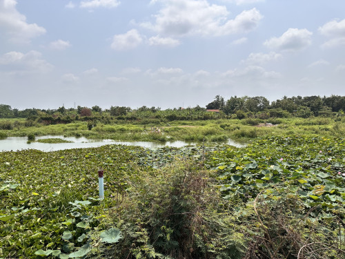 ๐ฆLand Available for Urgent Sale at a Special Price (Negotiable).