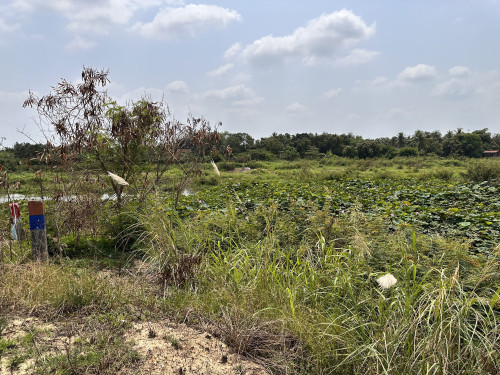 ๐ฆLand Available for Urgent Sale at a Special Price (Negotiable).