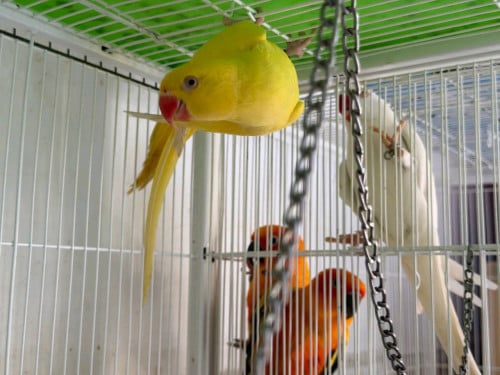 1ឆ្នាំ