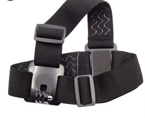 Head mount for GoPro
