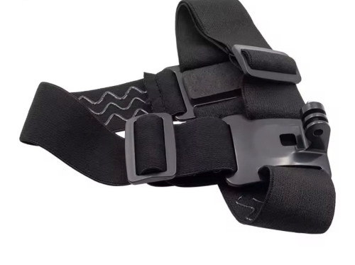Head mount for GoPro