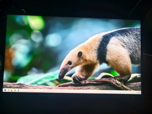 Monitor លក់ AOC q25g4s