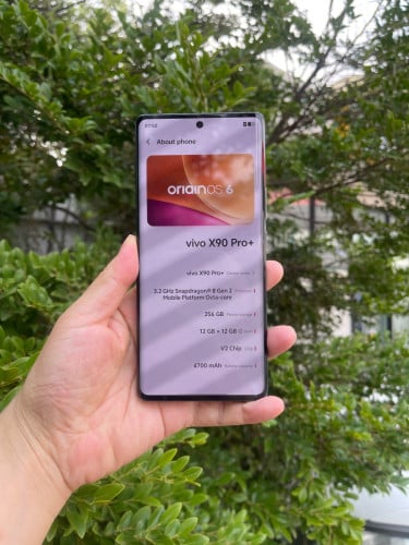 Vivo X90Pro Plus 12G+256G