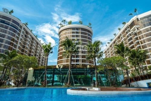 ដី នឹងររាងចក្រ​ សម្រាប់លក់​ (Land and Factory For Sale)