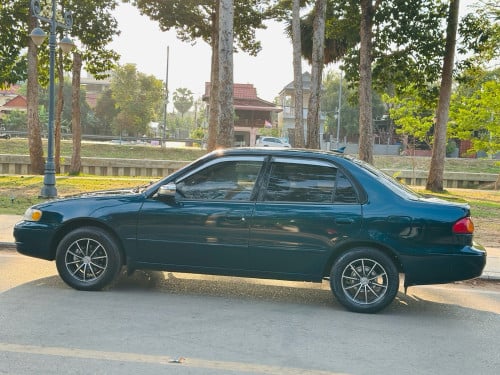 ឡានលក់បងប្អូនToyota Corollaឆ្នាំ1998សុំណុំឡានស្អាតតំលៃ4900$ធានាឡានស្អាត