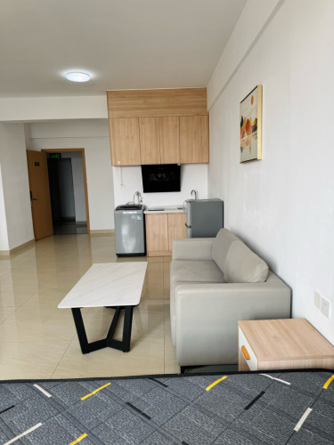 Condo in Steung Mean Chey for rent
