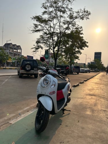 Honda Scoopy 2023y  ម៉ាស៊ីនស្អាត បង់រំលស់100%