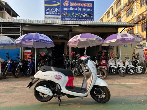 Honda Scoopy 2023y  ម៉ាស៊ីនស្អាត បង់រំលស់100%