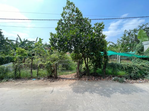 ដីលក់បន្ទាន់