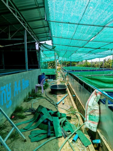 ផ្ទះ ដី លក់