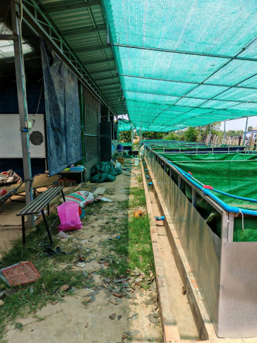 ផ្ទះ ដី លក់
